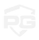 Best Security Guard Services